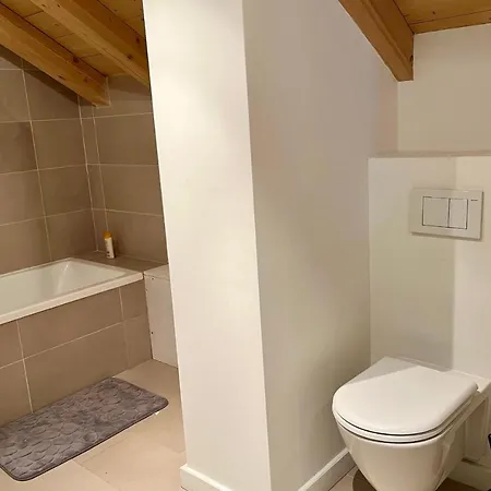 Chalet Of 235 M2 With Balcony Garden In Chalet Chamonix