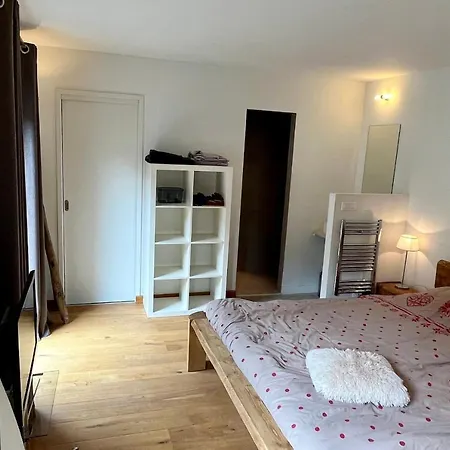 Chalet Of 235 M2 With Balcony Garden In Chalet Chamonix