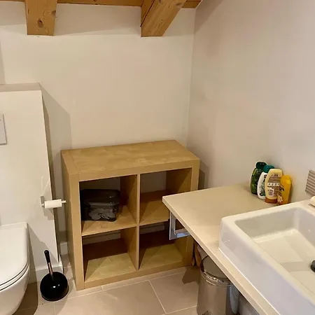 Chalet Of 235 M2 With Balcony Garden In Chamonix