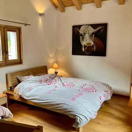 Chalet Of 235 M2 With Balcony Garden In