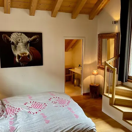 Chalet Of 235 M2 With Balcony Garden In Chalet *
